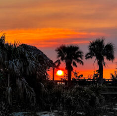 Florida - Tag 7