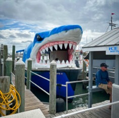 Florida - Tag 11