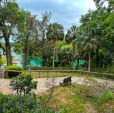 Florida - Tag 12