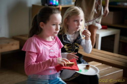 Fasching-2020 Fasching-2020