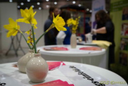 Messe-2020 Messe-2020