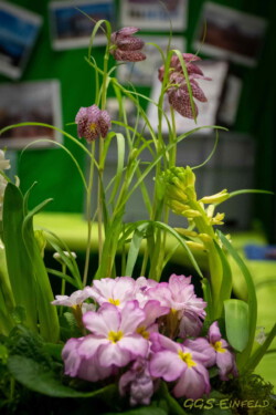 Messe-2020 Messe-2020