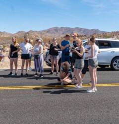 Pause im Joschua Tree NP Joschua Tree NP