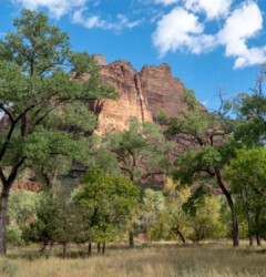 Zion NP - das Tal Zion NP