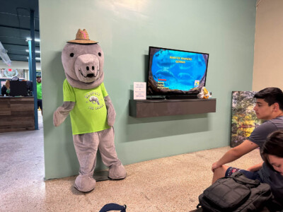 Florida - Tag 13