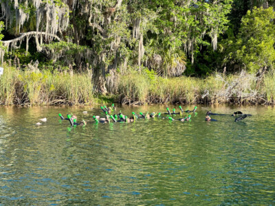 Florida - Tag 13